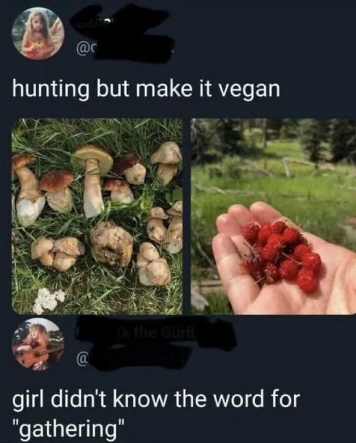 Wait, People Actually Said This in Internet Comments?!