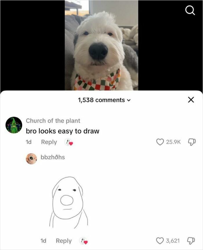 Wait, People Actually Said This in Internet Comments?!