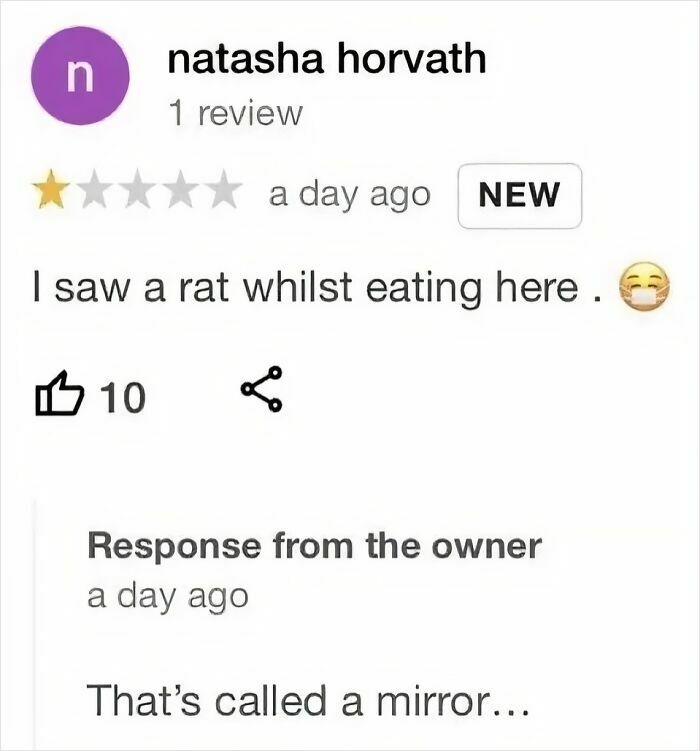 Wait, People Actually Said This in Internet Comments?!
