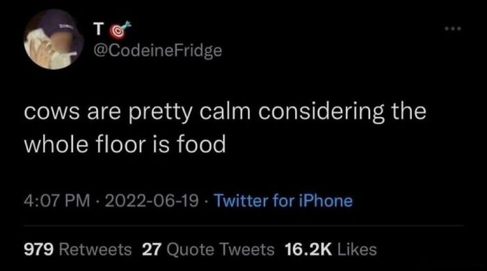 Wait, People Actually Said This in Internet Comments?!