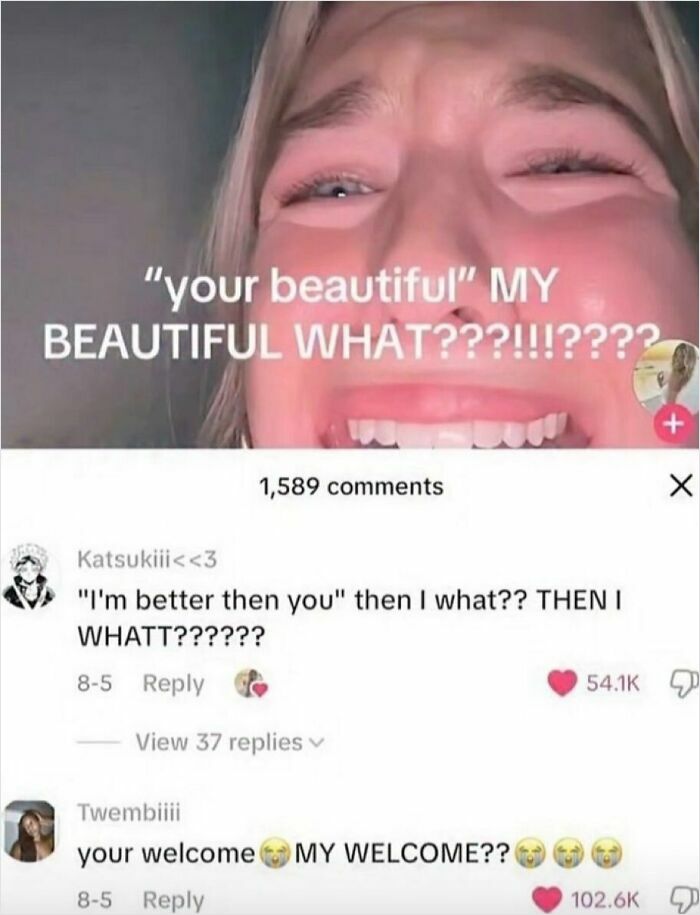 Wait, People Actually Said This in Internet Comments?!