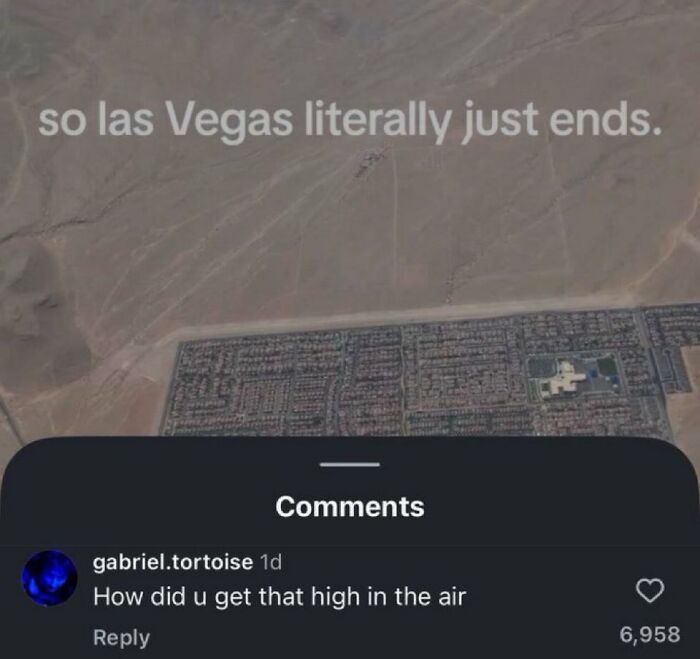 Wait, People Actually Said This in Internet Comments?!