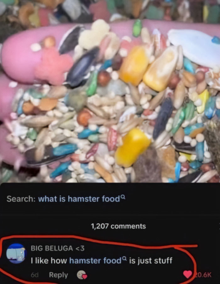 Wait, People Actually Said This in Internet Comments?!