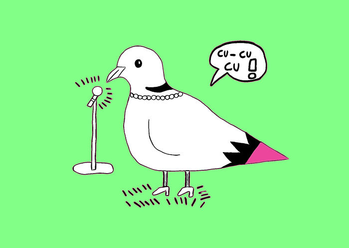 This Artist Turned A Dove Rescue Into A Whimsical Bird Party You’ve Gotta See