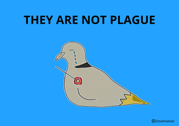 This Artist Turned A Dove Rescue Into A Whimsical Bird Party You’ve Gotta See