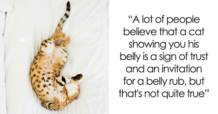 15 Weird Cat Habits That Actually Have a Totally Logical Explanation