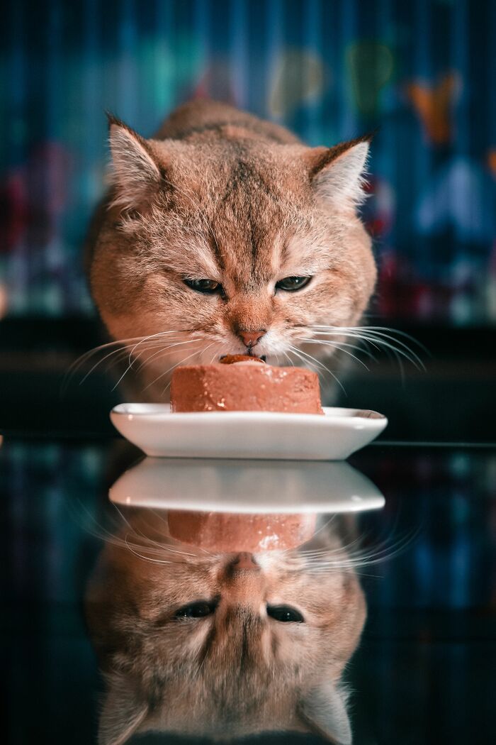 "Refusing Favorite Food"? More Like 'I’m Just Being Fancy'