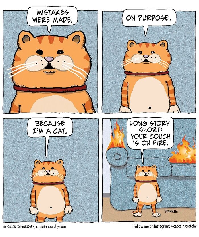 40 New Captain Scratchy Comics That Prove Animals Are Comedy Gold