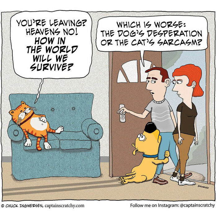 40 New Captain Scratchy Comics That Prove Animals Are Comedy Gold