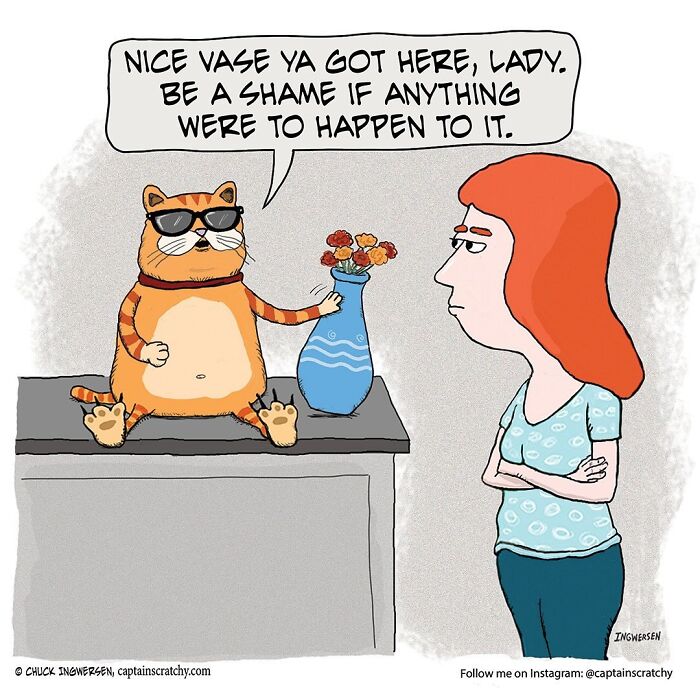 40 New Captain Scratchy Comics That Prove Animals Are Comedy Gold