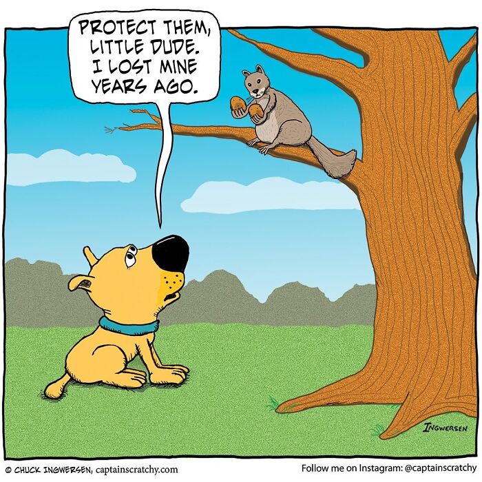 40 New Captain Scratchy Comics That Prove Animals Are Comedy Gold