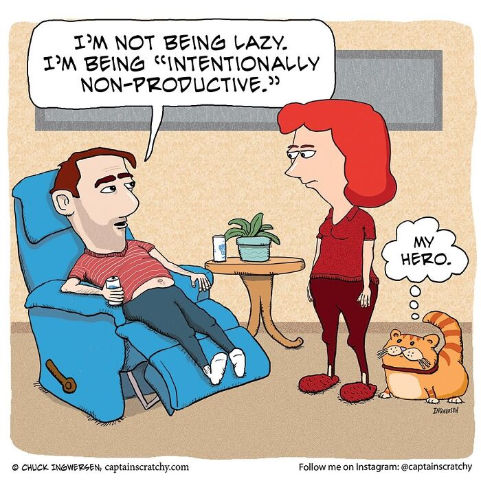 40 New Captain Scratchy Comics That Prove Animals Are Comedy Gold