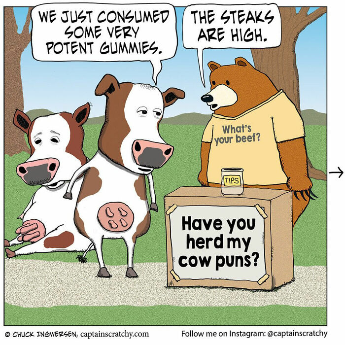 40 New Captain Scratchy Comics That Prove Animals Are Comedy Gold