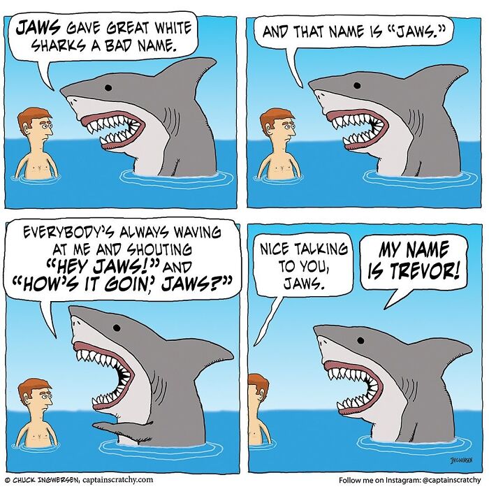 40 New Captain Scratchy Comics That Prove Animals Are Comedy Gold