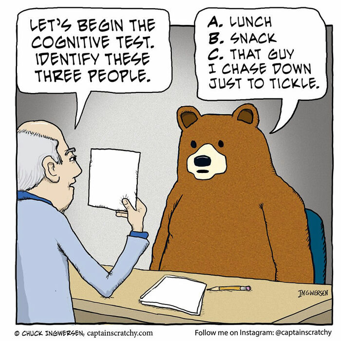 40 New Captain Scratchy Comics That Prove Animals Are Comedy Gold