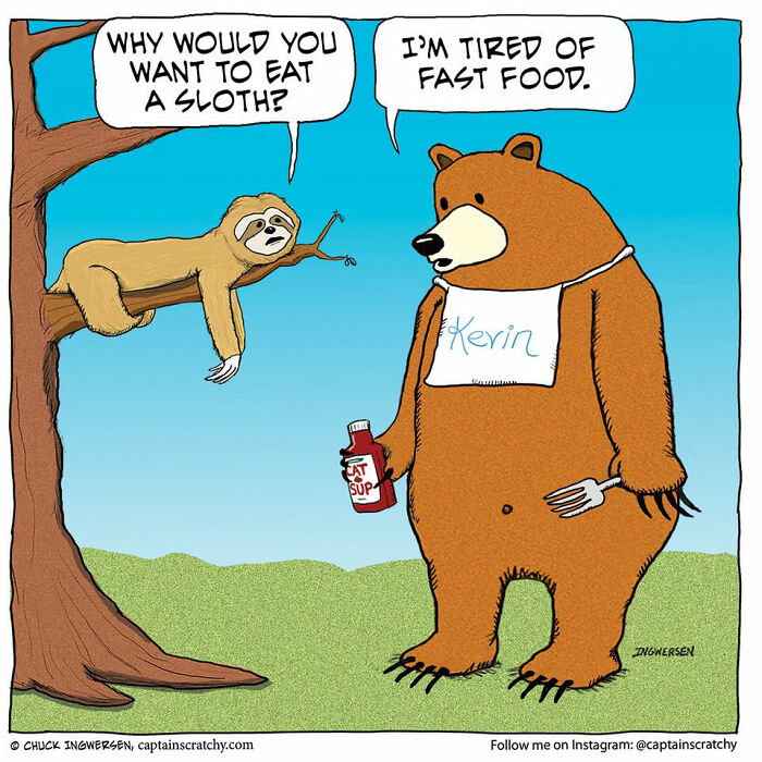 40 New Captain Scratchy Comics That Prove Animals Are Comedy Gold