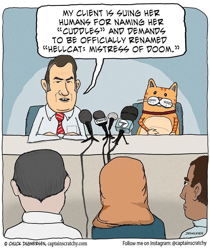 40 New Captain Scratchy Comics That Prove Animals Are Comedy Gold