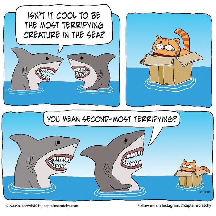 40 New Captain Scratchy Comics That Prove Animals Are Comedy Gold