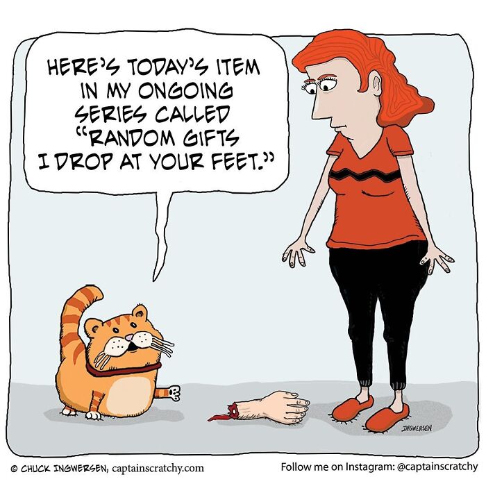 40 New Captain Scratchy Comics That Prove Animals Are Comedy Gold