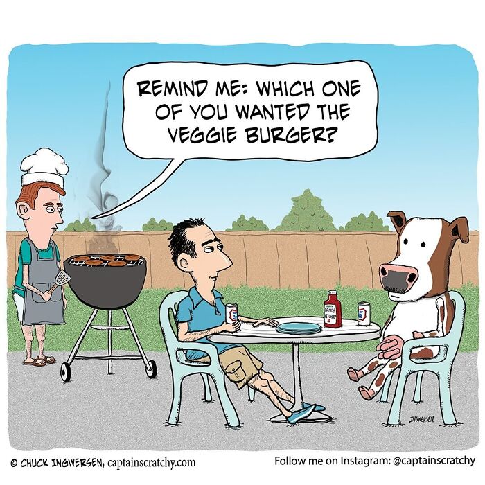 40 New Captain Scratchy Comics That Prove Animals Are Comedy Gold