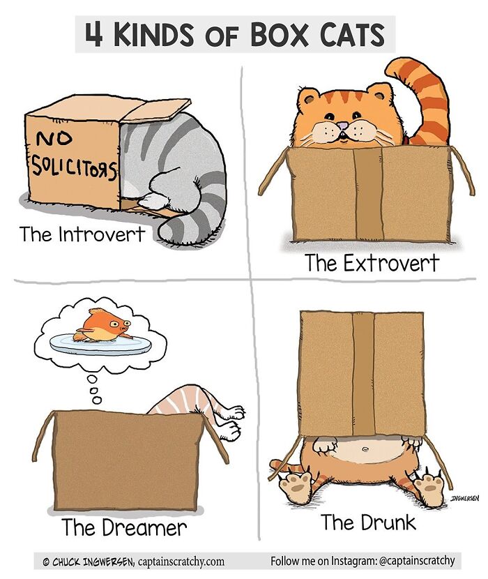 40 New Captain Scratchy Comics That Prove Animals Are Comedy Gold