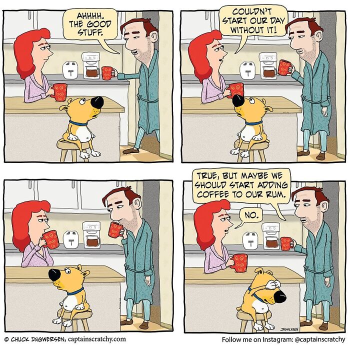 40 New Captain Scratchy Comics That Prove Animals Are Comedy Gold