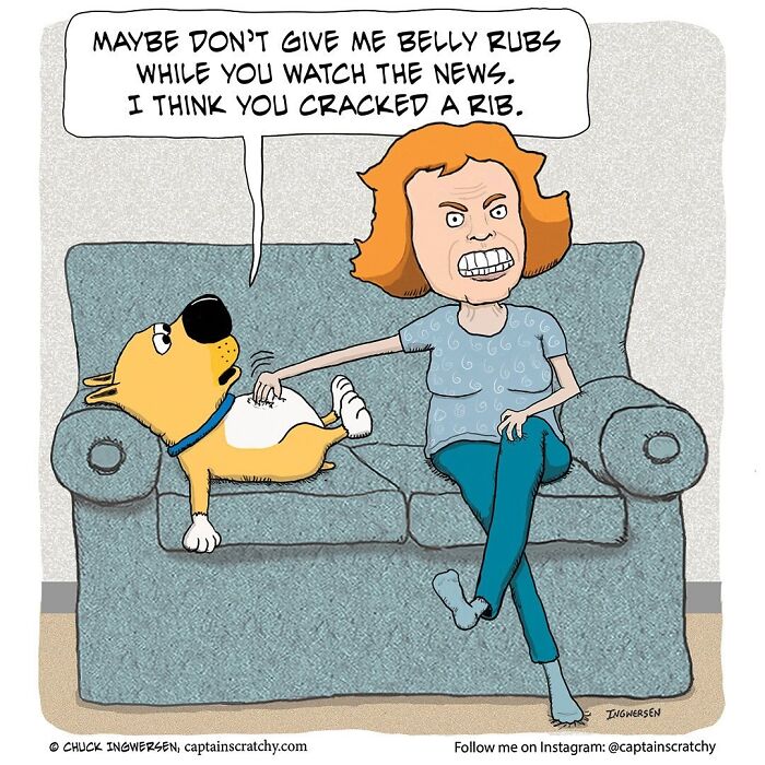 40 New Captain Scratchy Comics That Prove Animals Are Comedy Gold