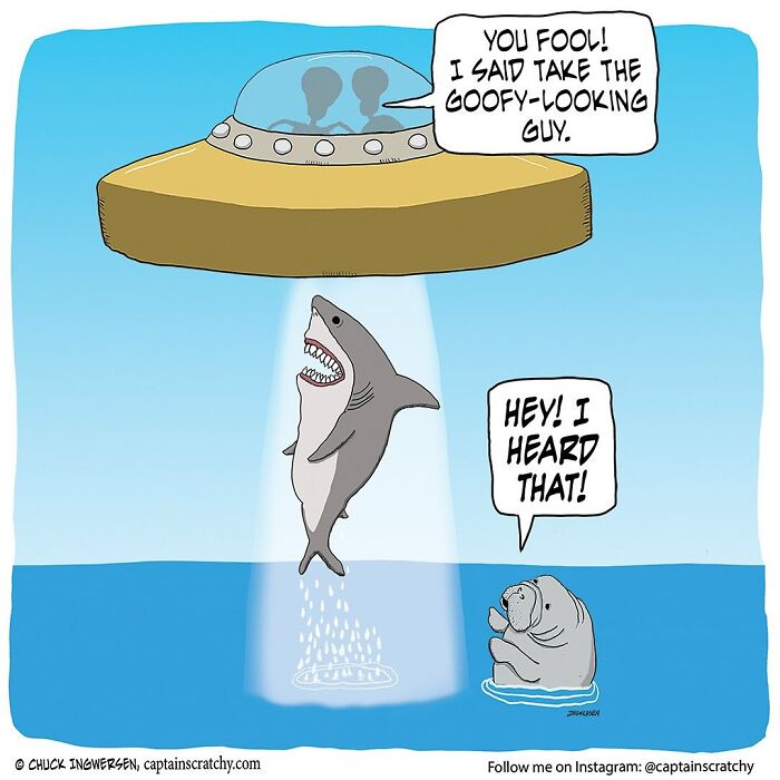 40 New Captain Scratchy Comics That Prove Animals Are Comedy Gold