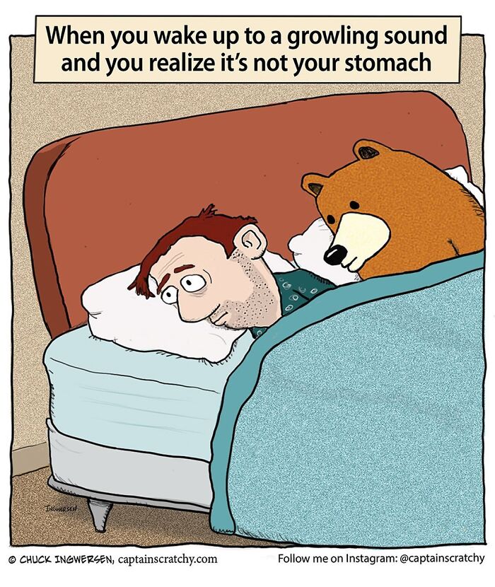 40 New Captain Scratchy Comics That Prove Animals Are Comedy Gold