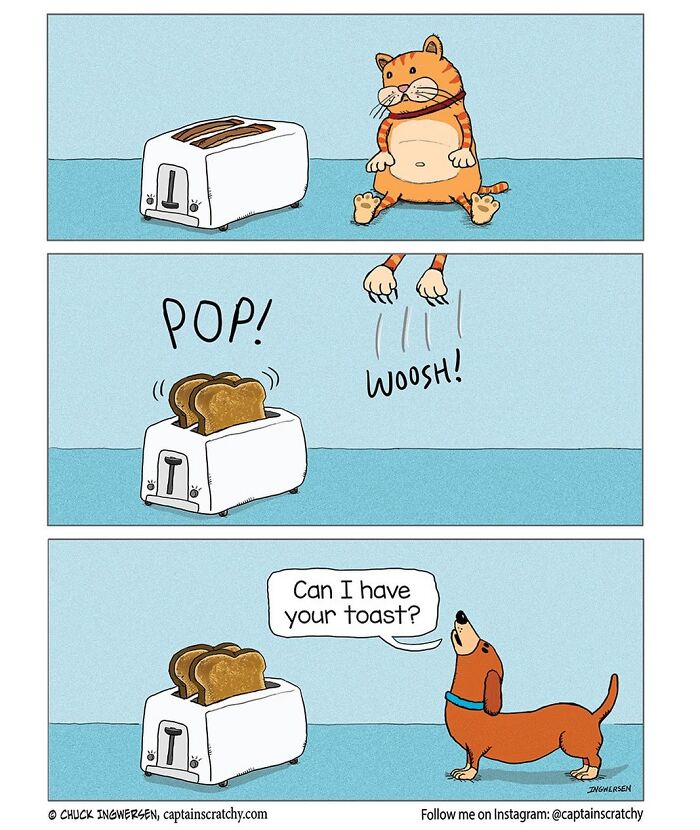 40 New Captain Scratchy Comics That Prove Animals Are Comedy Gold