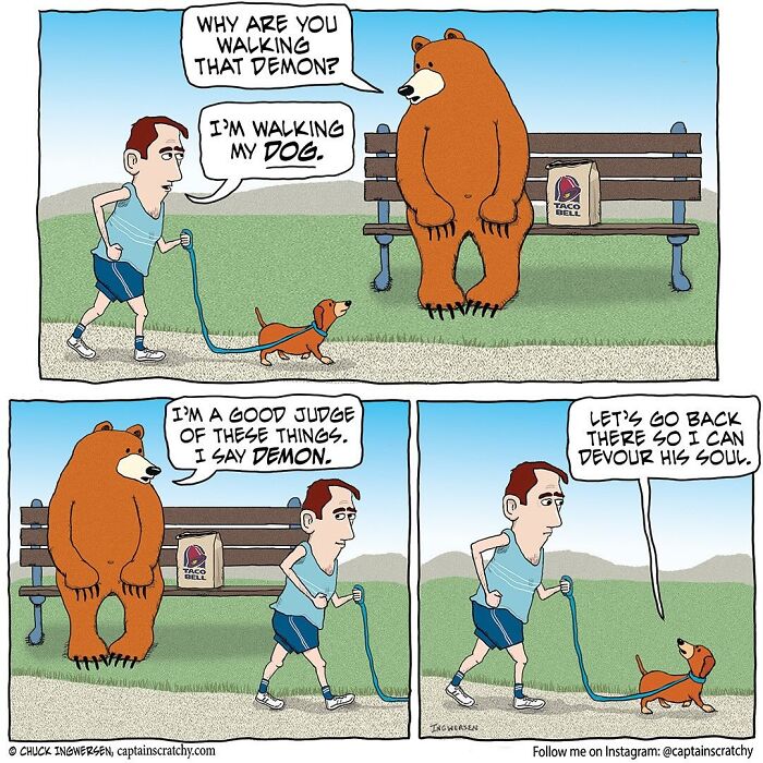 40 New Captain Scratchy Comics That Prove Animals Are Comedy Gold