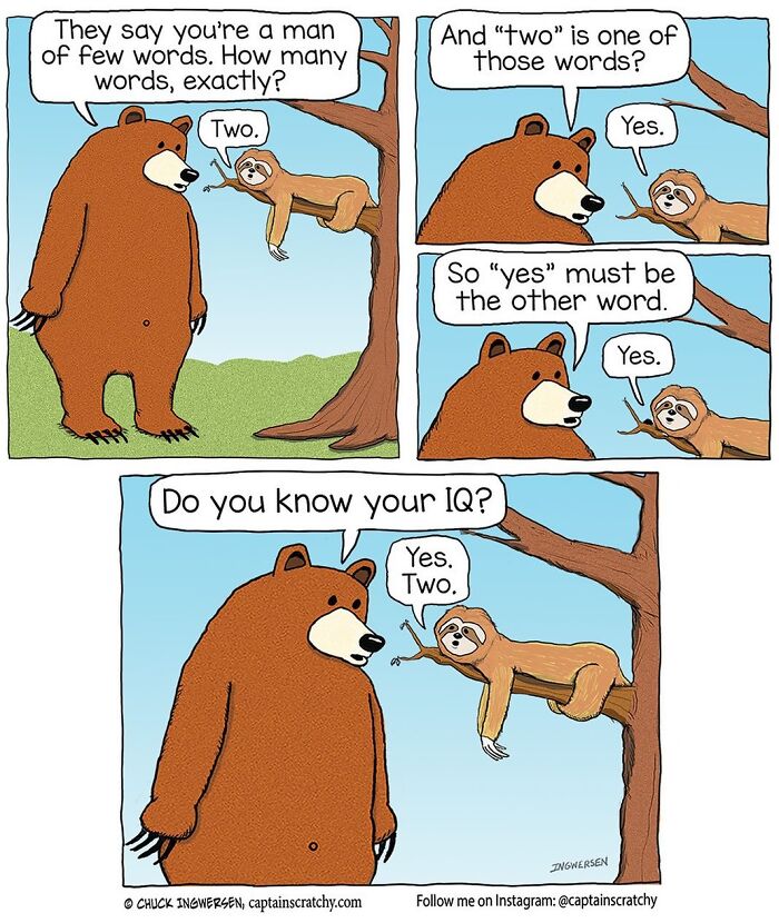 40 New Captain Scratchy Comics That Prove Animals Are Comedy Gold