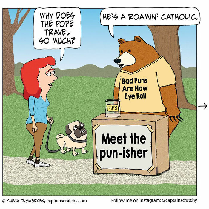 40 New Captain Scratchy Comics That Prove Animals Are Comedy Gold