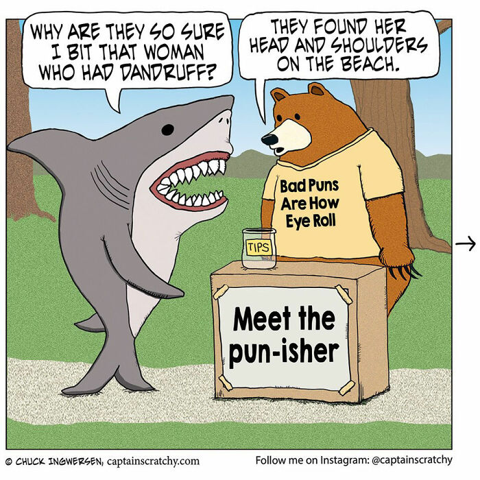 40 New Captain Scratchy Comics That Prove Animals Are Comedy Gold