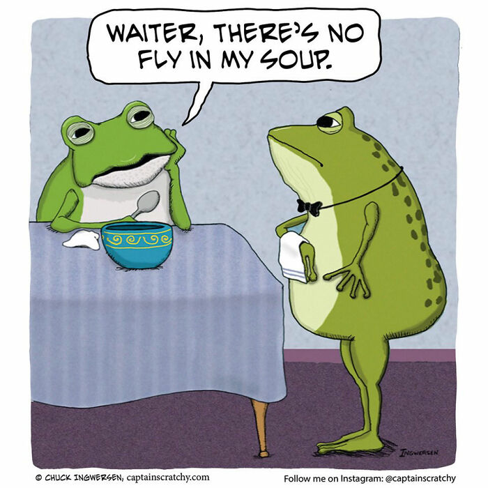 40 New Captain Scratchy Comics That Prove Animals Are Comedy Gold