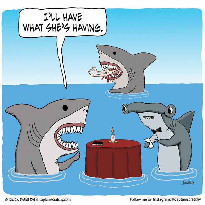 40 New Captain Scratchy Comics That Prove Animals Are Comedy Gold