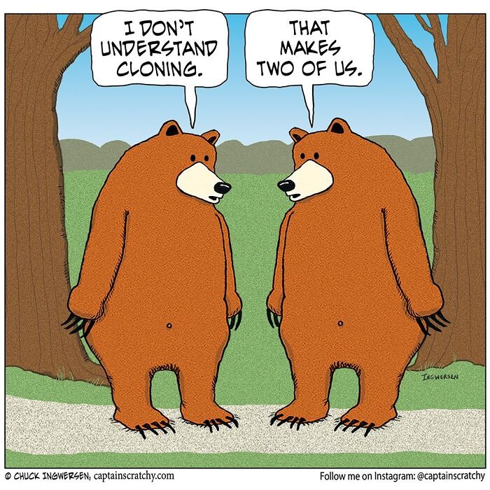 40 New Captain Scratchy Comics That Prove Animals Are Comedy Gold