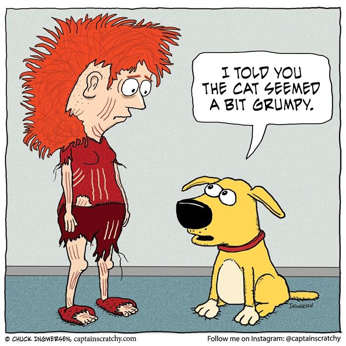 40 New Captain Scratchy Comics That Prove Animals Are Comedy Gold