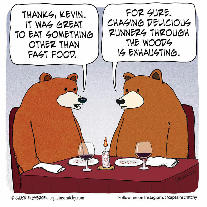 40 New Captain Scratchy Comics That Prove Animals Are Comedy Gold