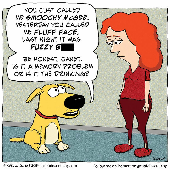 40 New Captain Scratchy Comics That Prove Animals Are Comedy Gold