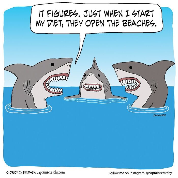 40 New Captain Scratchy Comics That Prove Animals Are Comedy Gold