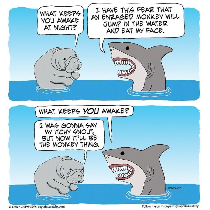 40 New Captain Scratchy Comics That Prove Animals Are Comedy Gold