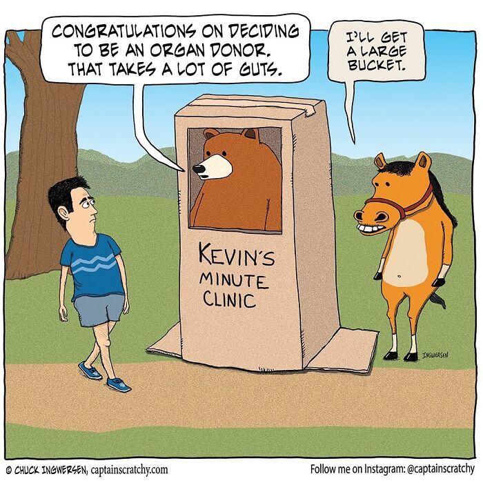 40 New Captain Scratchy Comics That Prove Animals Are Comedy Gold