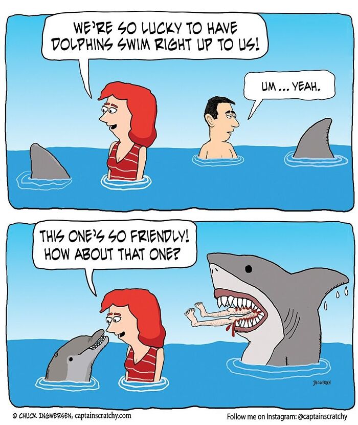 40 New Captain Scratchy Comics That Prove Animals Are Comedy Gold