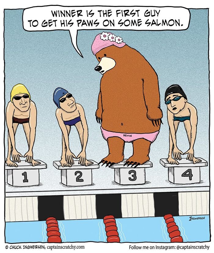 40 New Captain Scratchy Comics That Prove Animals Are Comedy Gold