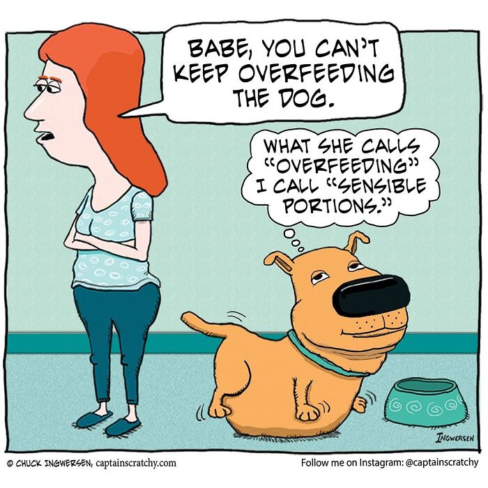 40 New Captain Scratchy Comics That Prove Animals Are Comedy Gold