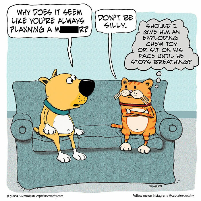 40 New Captain Scratchy Comics That Prove Animals Are Comedy Gold