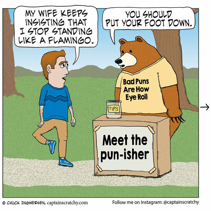 40 New Captain Scratchy Comics That Prove Animals Are Comedy Gold