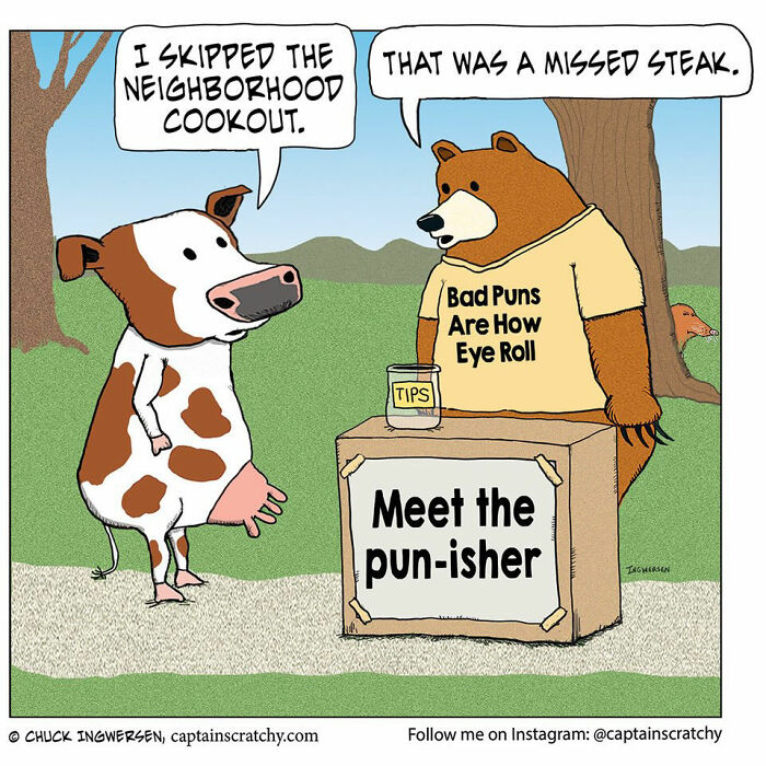 40 New Captain Scratchy Comics That Prove Animals Are Comedy Gold