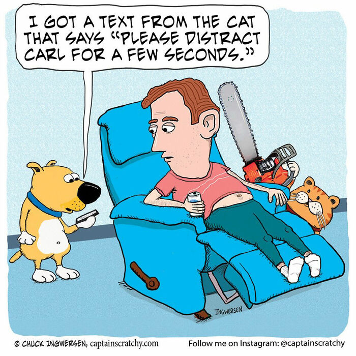 40 New Captain Scratchy Comics That Prove Animals Are Comedy Gold